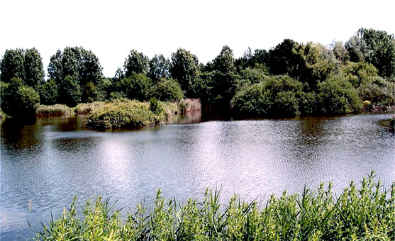 Another view of Lake 2 - June 2009